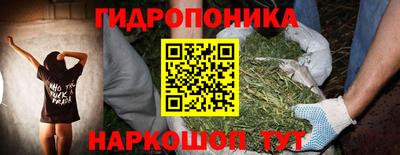 молекула духа Лесосибирск