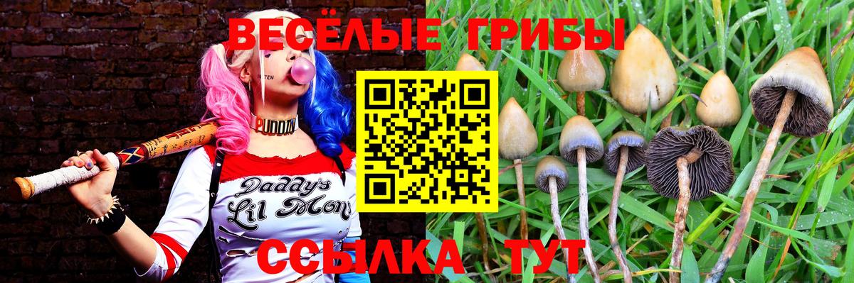 Псилоцибиновые грибы ЛСД Камышин