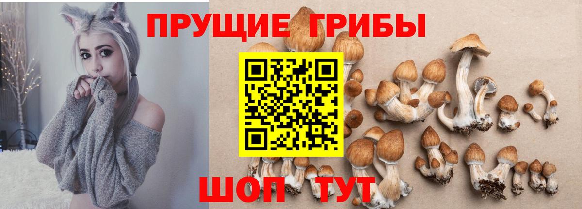 наркошоп  Вход с VPN  Камышин  Псилоцибиновые грибы Magic Shrooms 